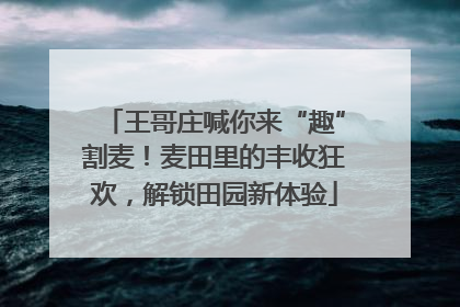 王哥庄喊你来“趣”割麦！麦田里的丰收狂欢，解锁田园新体验