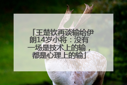 王楚钦再谈输给伊朗14岁小将：没有一场是技术上的输，都是心理上的输