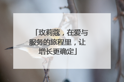 玫莉蔻，在爱与服务的旅程里，让增长更确定