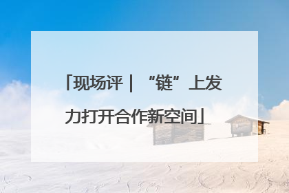 现场评｜“链”上发力打开合作新空间