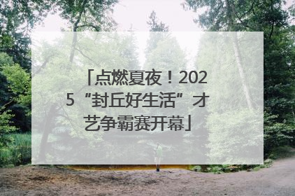 点燃夏夜！2025“封丘好生活”才艺争霸赛开幕