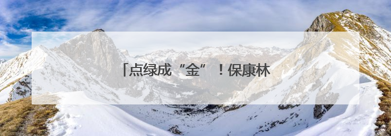 点绿成“金”！保康林下经济产值突破9亿元