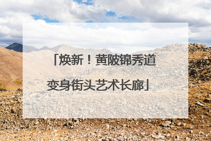 焕新！黄陂锦秀道变身街头艺术长廊