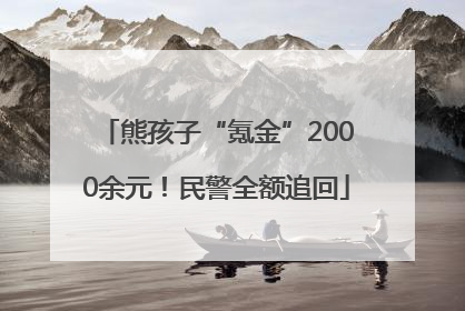 熊孩子“氪金”2000余元！民警全额追回