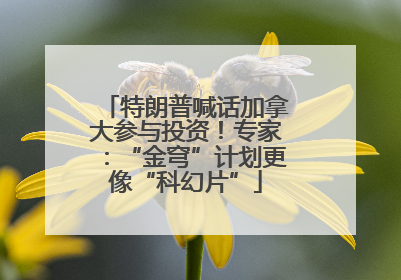 特朗普喊话加拿大参与投资！专家：“金穹”计划更像“科幻片”