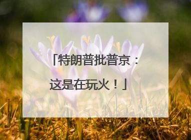 特朗普批普京：这是在玩火！