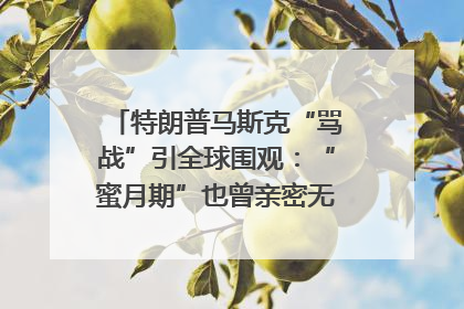 特朗普马斯克“骂战”引全球围观：“蜜月期”也曾亲密无间｜国际观察