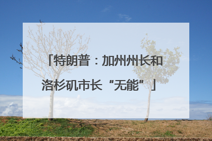 特朗普：加州州长和洛杉矶市长“无能”