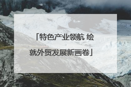 特色产业领航 绘就外贸发展新画卷