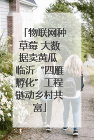 物联网种草莓 大数据卖黄瓜 临沂“四雁孵化”工程链动乡村共富
