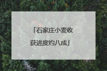 石家庄小麦收获进度约八成