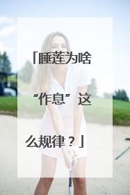 睡莲为啥“作息”这么规律？