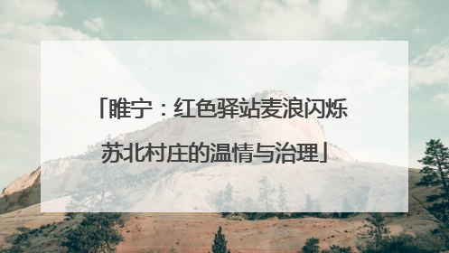 睢宁：红色驿站麦浪闪烁 苏北村庄的温情与治理