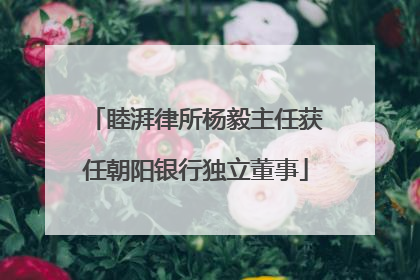 睦湃律所杨毅主任获任朝阳银行独立董事