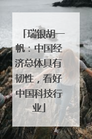 瑞银胡一帆：中国经济总体具有韧性，看好中国科技行业