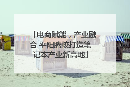电商赋能，产业融合 平阳腾蛟打造笔记本产业新高地