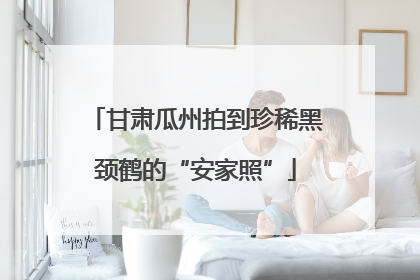 甘肃瓜州拍到珍稀黑颈鹤的“安家照”