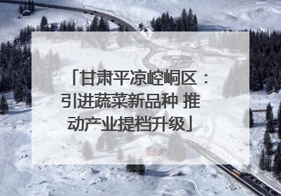 甘肃平凉崆峒区：引进蔬菜新品种 推动产业提档升级