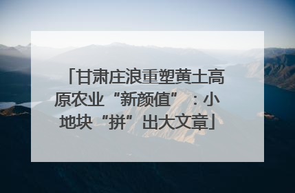 甘肃庄浪重塑黄土高原农业“新颜值”：小地块“拼”出大文章