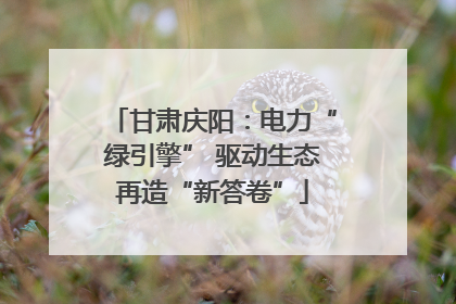 甘肃庆阳：电力“绿引擎” 驱动生态再造“新答卷”