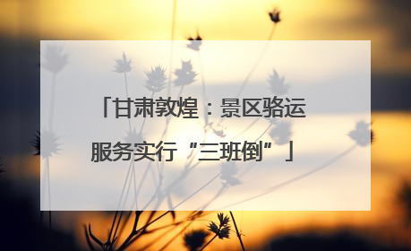 甘肃敦煌：景区骆运服务实行“三班倒”
