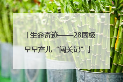 生命奇迹——28周极早早产儿“闯关记”