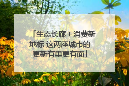 生态长廊＋消费新地标 这两座城市的更新有里更有面
