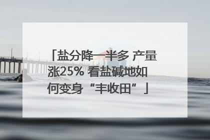 盐分降一半多 产量涨25% 看盐碱地如何变身“丰收田”