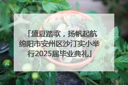 盛夏踏歌，扬帆起航 绵阳市安州区沙汀实小举行2025届毕业典礼