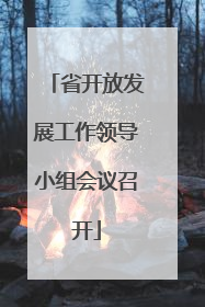 省开放发展工作领导小组会议召开