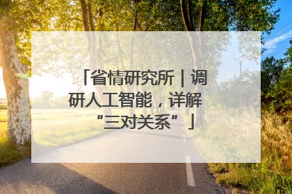 省情研究所｜调研人工智能，详解“三对关系”