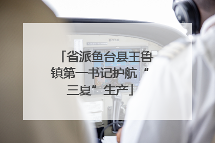 省派鱼台县王鲁镇第一书记护航“三夏”生产