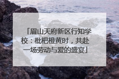 眉山天府新区行知学校：枇杷橙黄时，共赴一场劳动与爱的盛宴