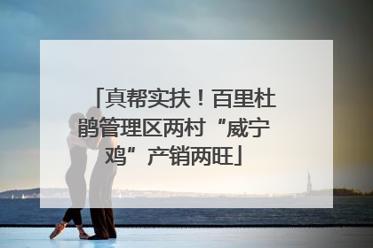 真帮实扶！百里杜鹃管理区两村“威宁鸡”产销两旺