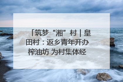筑梦“湘”村｜皇田村：返乡青年开办榨油坊 为村集体经济“加油”