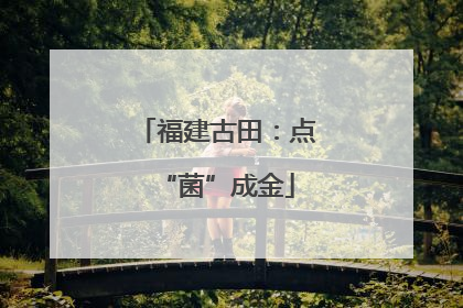 福建古田：点“菌”成金