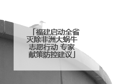 福建启动全省灭除非洲大蜗牛志愿行动 专家献策防控建议