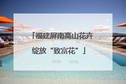 福建屏南高山花卉绽放“致富花”