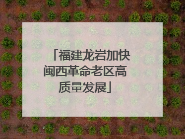 福建龙岩加快闽西革命老区高质量发展