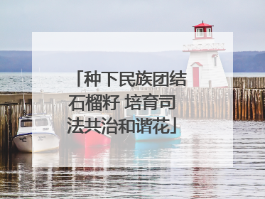 种下民族团结石榴籽 培育司法共治和谐花