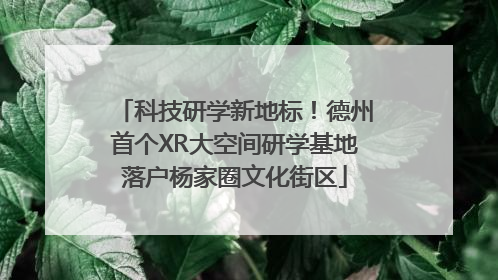 科技研学新地标！德州首个XR大空间研学基地落户杨家圈文化街区