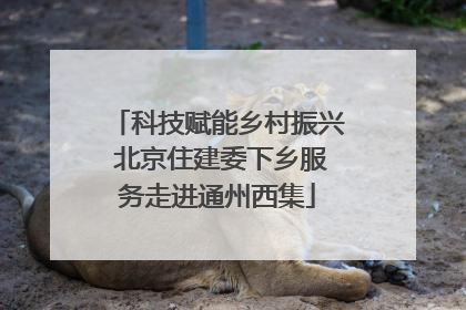 科技赋能乡村振兴 北京住建委下乡服务走进通州西集