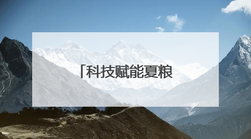 科技赋能夏粮收购提质增效