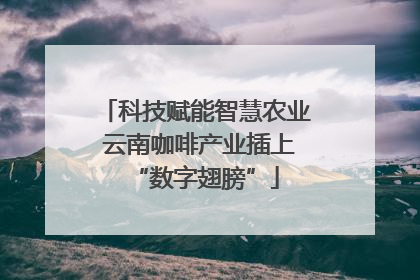 科技赋能智慧农业 云南咖啡产业插上“数字翅膀”