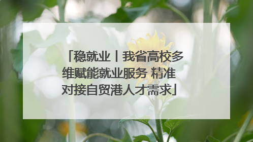 稳就业丨我省高校多维赋能就业服务 精准对接自贸港人才需求