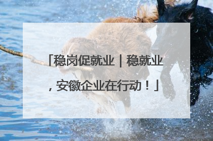 稳岗促就业｜稳就业，安徽企业在行动！