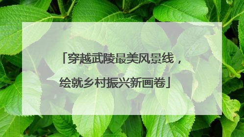穿越武陵最美风景线，绘就乡村振兴新画卷