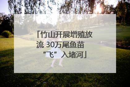 竹山开展增殖放流 30万尾鱼苗“飞”入堵河