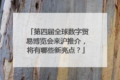 第四届全球数字贸易博览会来沪推介，将有哪些新亮点？