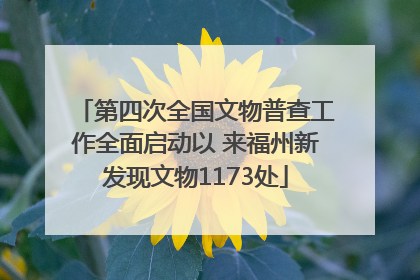 第四次全国文物普查工作全面启动以 来福州新发现文物1173处